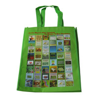 广安LB11覆膜无纺布广告袋